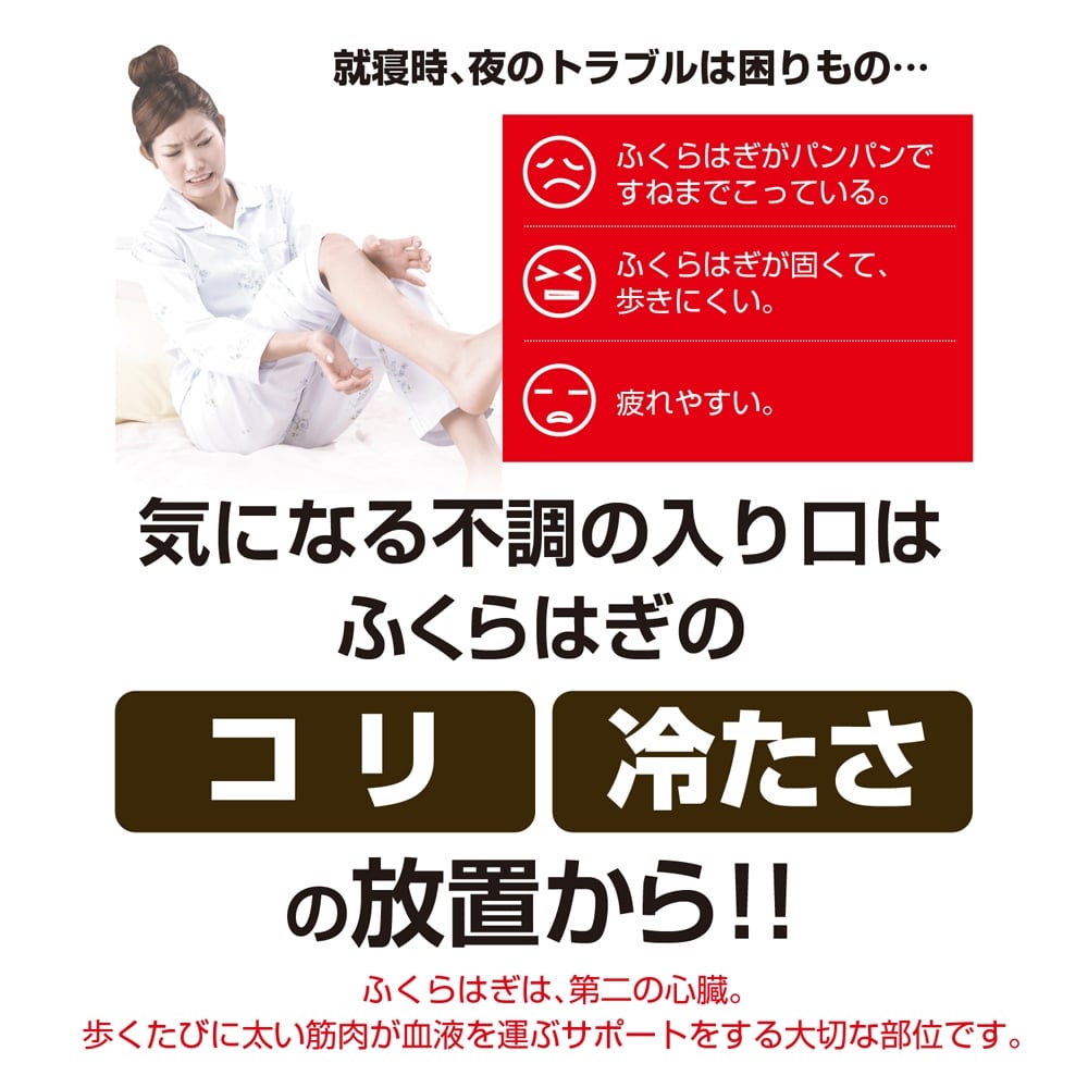 ドリーム マグネッカーＤＸ ふくらはぎ・すね用 磁気サポーター(レッグサポーター)