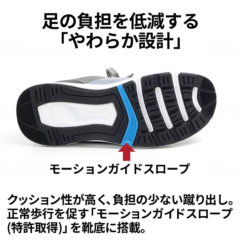 ラベンダー