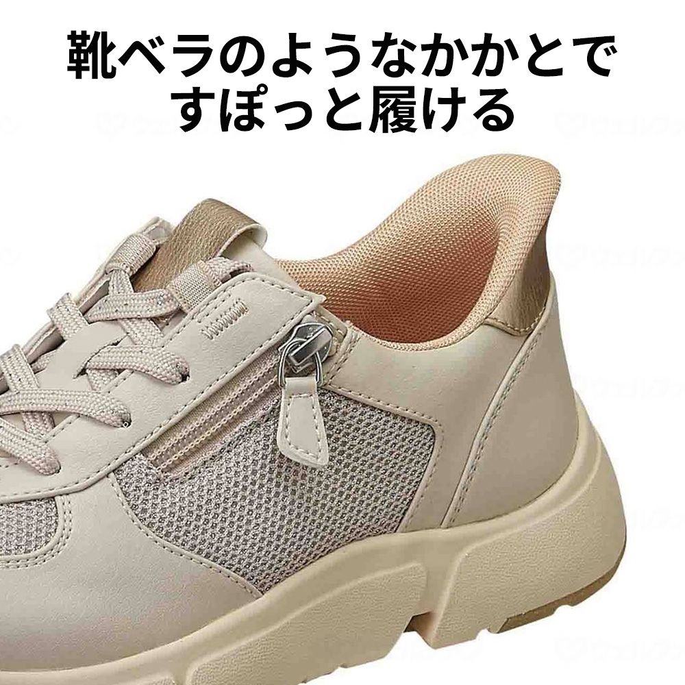 グレイ