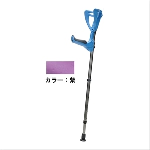 紫