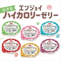 森永乳業 クリニコ エンジョイ小さなハイカロリーゼリー いろいろセット　40g×24個（6種×4個）