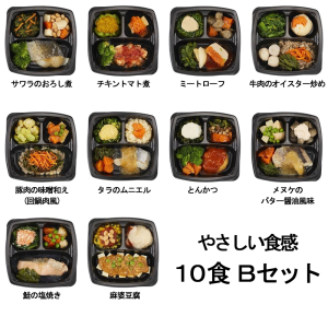 エフアールフーズ そよ風のやさしい食感10食 Bセット (とんかつ、サワラのおろし煮、麻婆豆腐など、全10種)