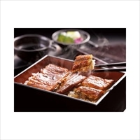 ドウシシャ うなぎ割烹「一愼」特製蒲焼