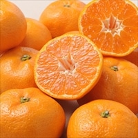 アデリー 愛媛みかん 約2kg