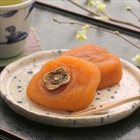 サンリッチ 「紀和農園」 あんぽ柿（２玉×５個）