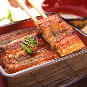 マルマ中塩商店 浜名湖マルマ 静岡 浜名湖産うなぎ蒲焼(1本160g) 計2本