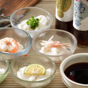 島原手延細麺 極・九州こだわりめんつゆ 九極
