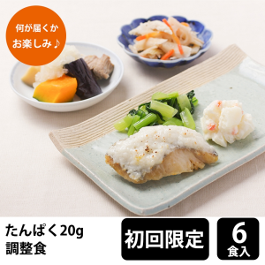 【初回購入限定】 メディカルフーズ たんぱく調整食20g 試食6食セット