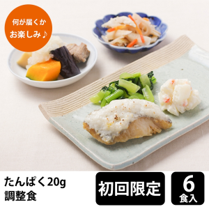 メディカルフーズ 【初回購入限定】 たんぱく調整食20g 試食6食セット