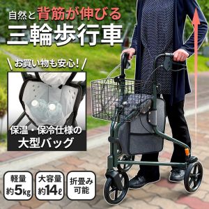 インタージェット AIJ ニュートライウォーカー カーボン調グリーン 三輪 歩行車
