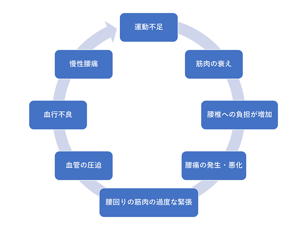 理学療法士が解説!腰痛の原因や改善方法、お薦めグッズをご紹介