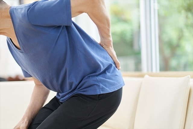 理学療法士が解説！腰痛の原因や改善方法をご紹介