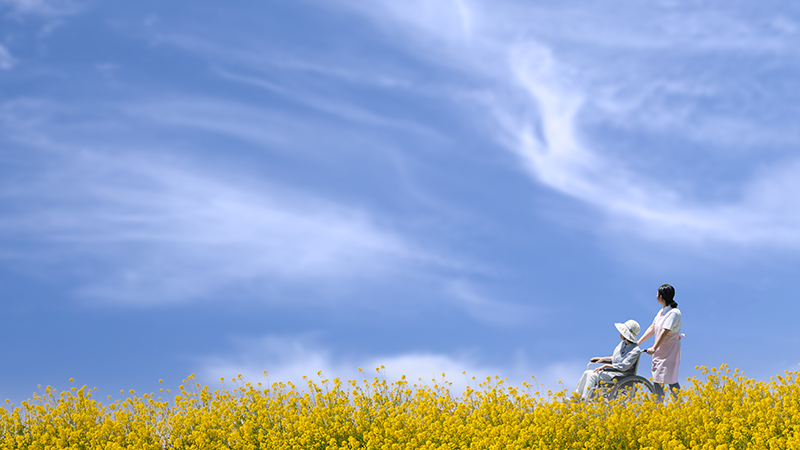 車椅子でお散歩を楽しむ高齢者とスタッフ