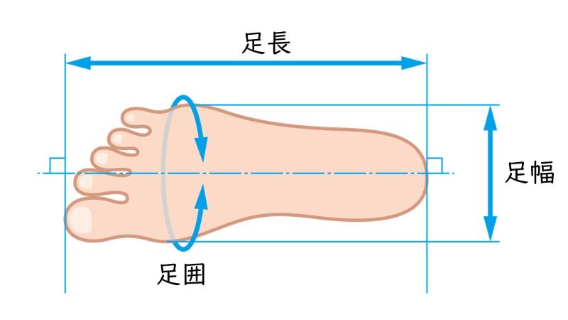 足長　足囲