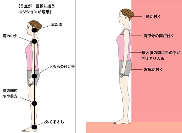 女性　姿勢　立つ