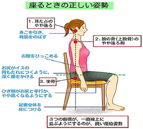 女性 姿勢 座る