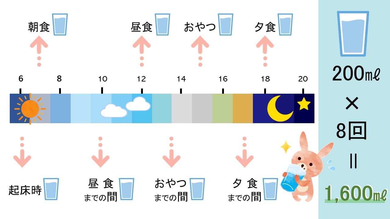 一日の水分量の取り方の具体例の表