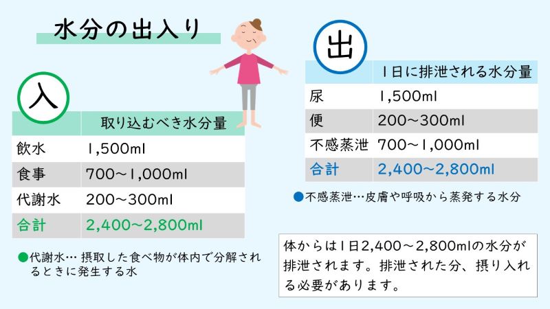 水分の出入り表