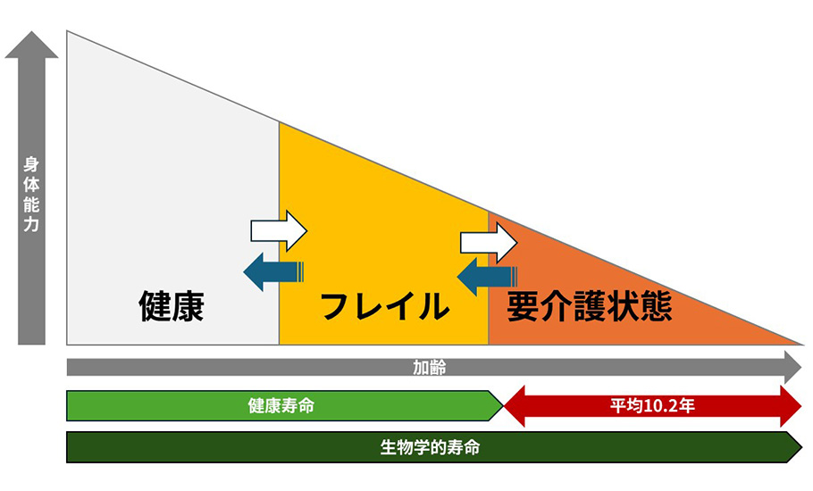 日本国内における生物学的寿命と健康寿命の差・介護が必要な平均年数は10年