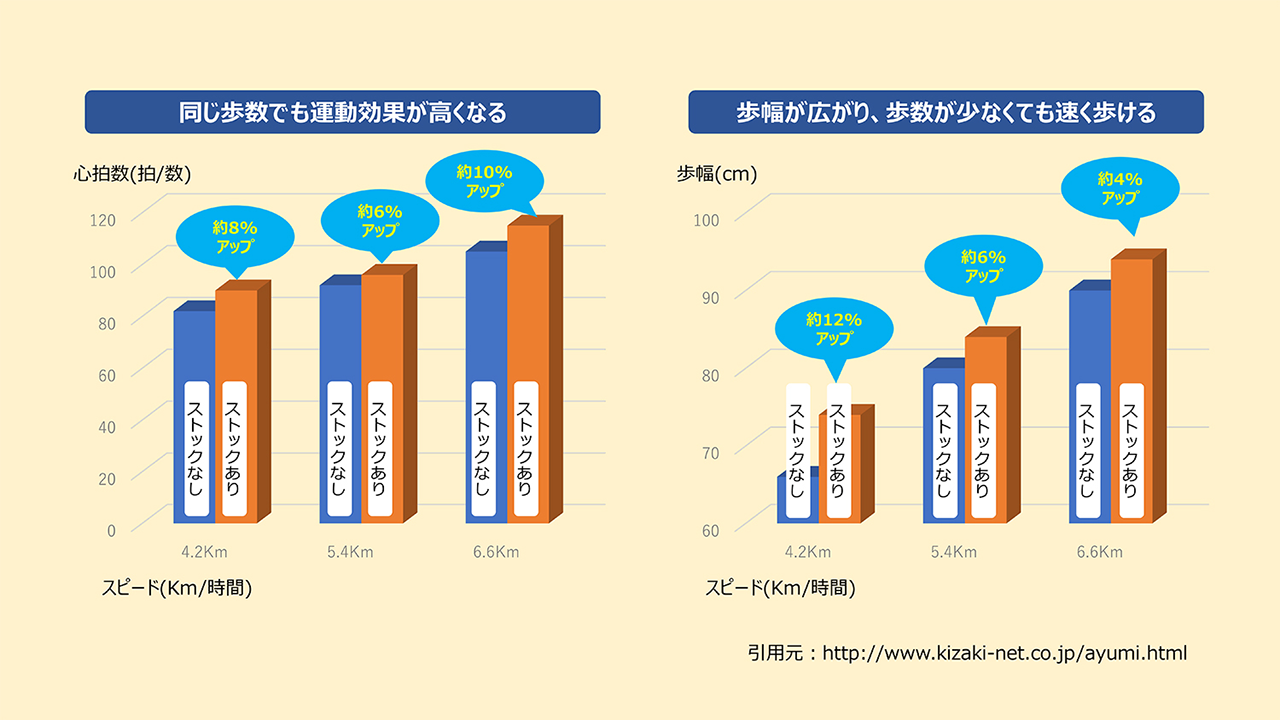運動効果のグラフ