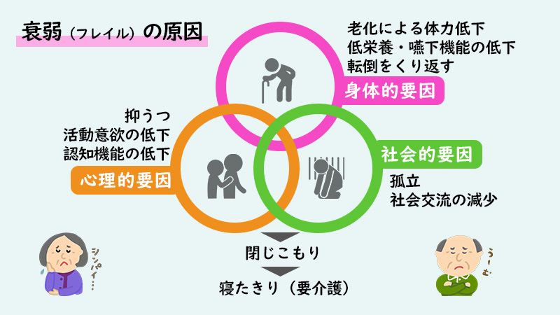 衰弱 フレイル