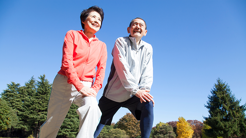 公園でストレッチをするシニア夫婦
