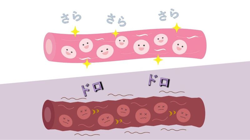 サラサラ血管とドロドロ血管